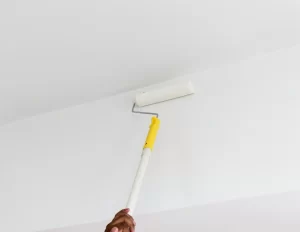Peinture plafond